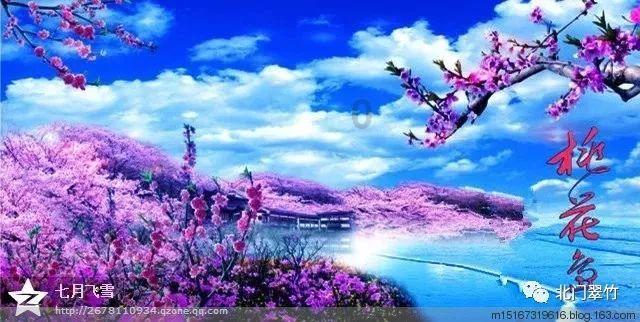 新鲜面条可以放冰箱冷冻吗游戏画面